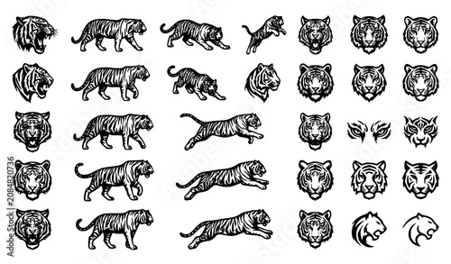 Tiger Head and Running Tiger Vintage Engraving Style Wildlife Illustration Collection Vector Isolated Set