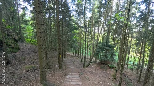 Descending forest trail with rocks and boulders at Grosser Zschirnstein Saxon Switzerland Germany