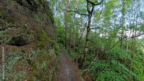 Forest road along high rock wall at Grosser Zschirnstein Saxon Switzerland Germany.