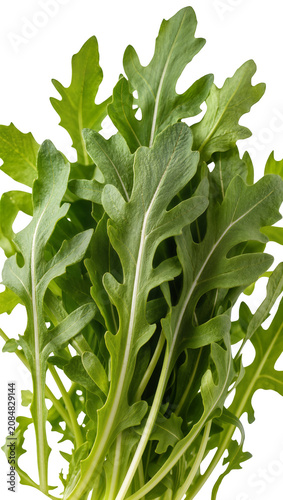 Foto Isolated fresh green arugula leaves, delicious peppery healthy salad ingredient