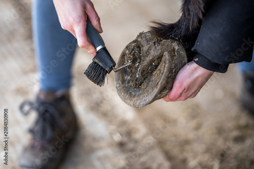 Tableau sur toile Close-up of a person cleaning and brushing a horse hoof outdoors, farrier hoof c