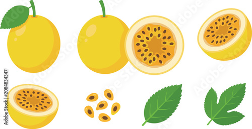 Fotografie Fresh yellow passion fruit maracuja vector illustration set with whole fruits cu