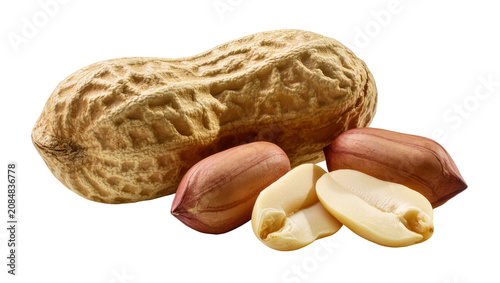 Obraz na płótnie Isolated raw organic peanuts a delicious healthy snack food with whole and shell