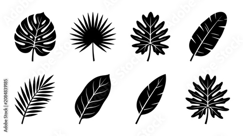 Tropical leaf silhouettes, set of 8 black jungle foliage icons, exotic monstera and palm frond vector elements for summer design