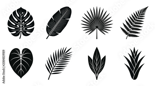 Tropical leaf icons, black palm tree leaves, vector foliage set, 8 elements