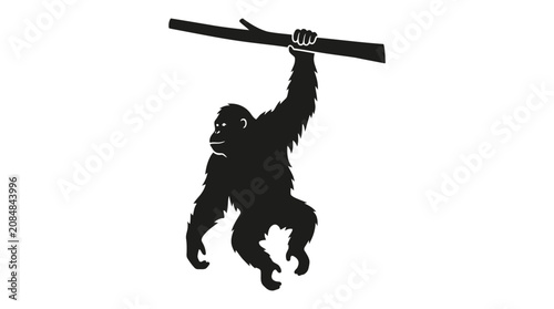 Orangutan Silhouette Hanging from Branch on White Background
