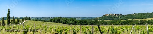 Foto Panoramic view of rolling hills of Tuscan vineyards in the Chianti wine region
