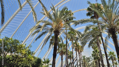 Palm Trees Under Modern White Arch Structure