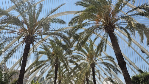 Palm trees under modern white architectural canopy