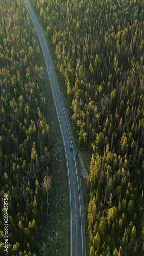 Vertical Screen: Aerial drone view of a solitary car driving down a straight highway surrounded by vast evergreen forest bathed in warm golden hour sunlight with meadow clearings visible below.