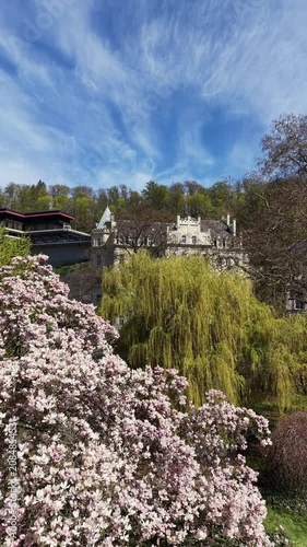 Karlovy Vary, Czech Republic - Blooming magnolia trees in Karlovy Vary