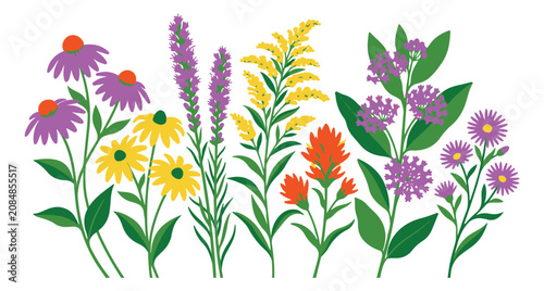 Bild auf Leinwand Colorful wildflower meadow vector illustration, native prairie flowers set with