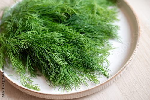 Photography Large bunch of fresh young dill on a round beige plate