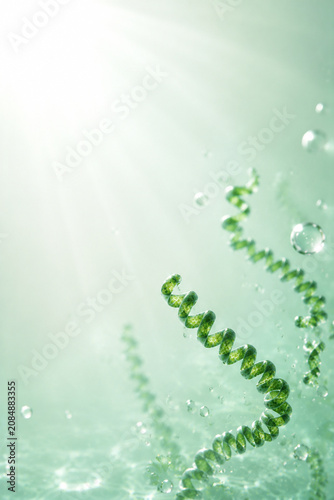 Artistic Interpretation of Spirulina for Beauty and Skincare Advertising