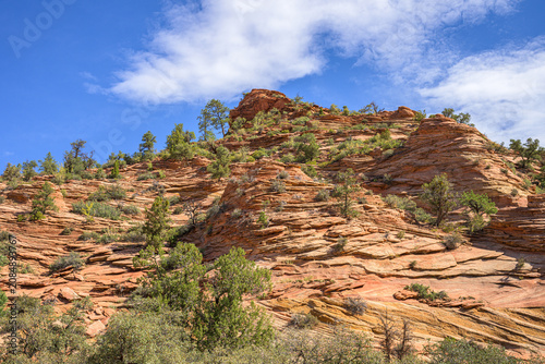 Red sandstone terraces and slopes dotted with pine trees in Zion National Park