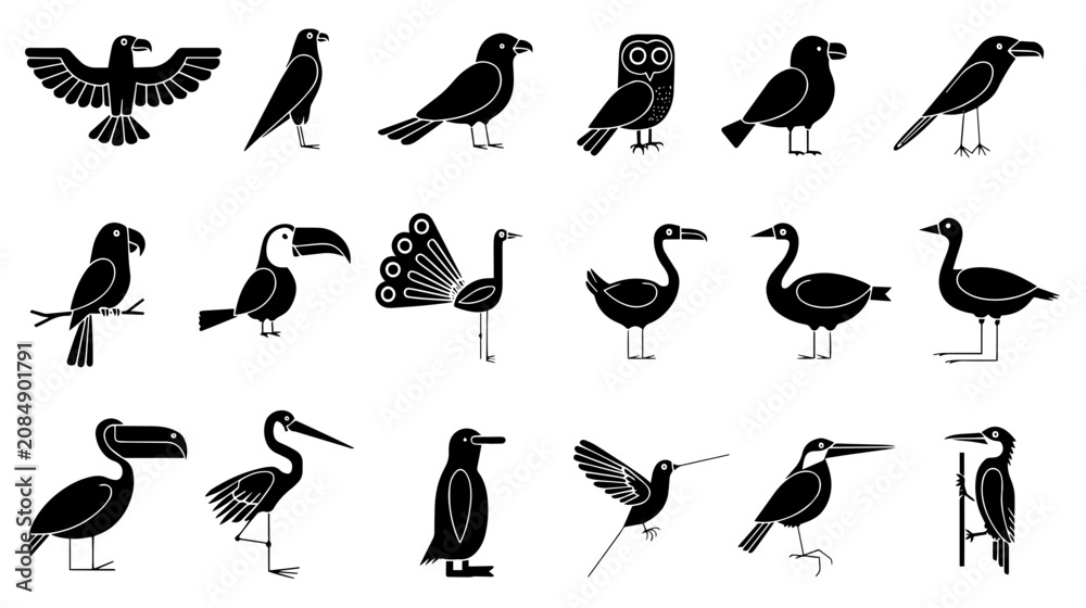 Fototapeta premium set of silhouettes of birds
