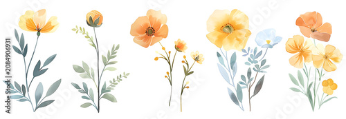 Hand painted watercolor flowers and botanical sprigs. Yellow and orange floral elements isolated on white background. Spring garden illustration set