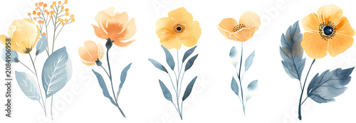 Watercolor illustration of yellow and peach flowers isolated on white background. Set of floral elements with blue grey leaves. Hand drawn botanical clip art