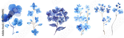 Set of blue watercolor flowers. Hand painted floral botanical elements on white background