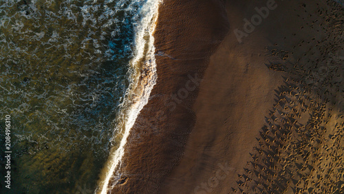 Aerial View of Newport Rocky Coastline with White Wash Waves, Sydney Northern Beaches