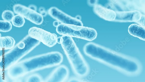 Enterobacteriaceae, gram-negative rod-shaped bacteria, part of intestinal microbiome and causative agents of different infections, 3D rendering. Escherichia coli, Klebsiella, Enterobacter and other	