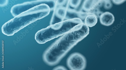 Enterobacteriaceae, gram-negative rod-shaped bacteria, part of intestinal microbiome and causative agents of different infections, 3D rendering. Escherichia coli, Klebsiella, Enterobacter and other	