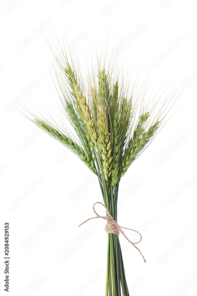 Fototapeta premium Bunch of green wheat spikes isolated on white