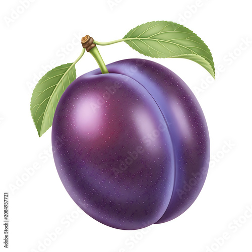 Purple plum with green leaves on stem
