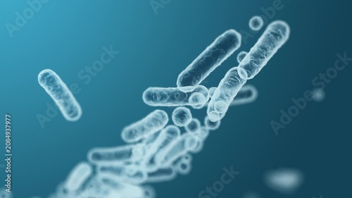 Enterobacteriaceae, gram-negative rod-shaped bacteria, part of intestinal microbiome and causative agents of different infections, 3D rendering. Escherichia coli, Klebsiella, Enterobacter and other	