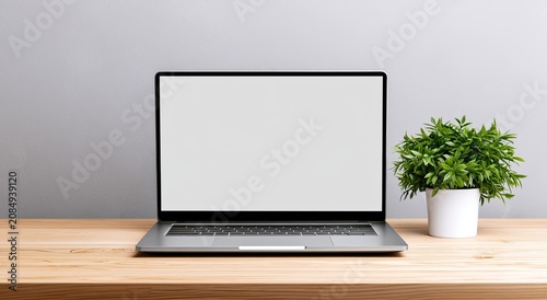 Open laptop with blank screen sits on wood desk next to potted plant