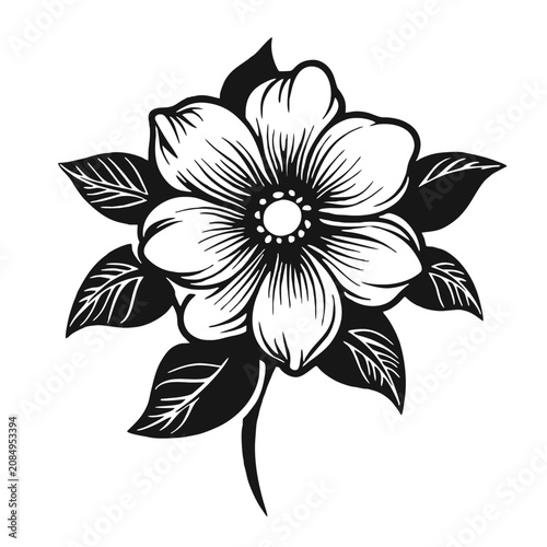 minimalist line art