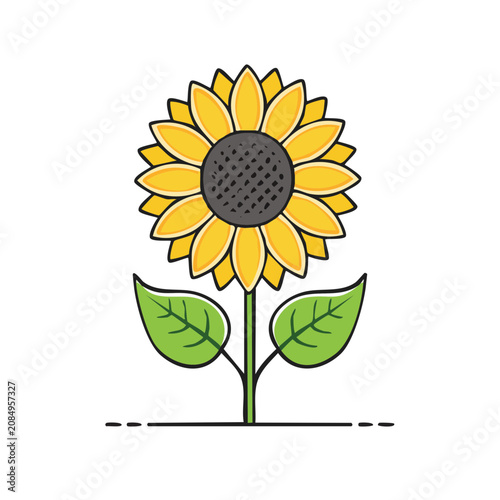 Sunflower Vector Illustration