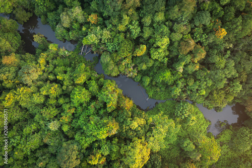 Bird's-eye view drone shot of a hidden lake channel surrounded by lush green forest canopy