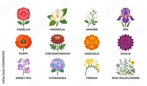 Botanical flower symbol icon pack vector illustration isolated on white