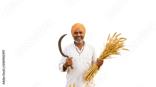 Smiling indian farmer wearing orange turban holds a sharp metal sickle and golden wheat stalks proudly