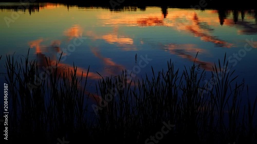 A breathtaking summer sunset reflects across the calm waters of a Canadian lake. Golden, orange, and warm evening colors create a peaceful landscape as the sun slowly disappears below the horizon.