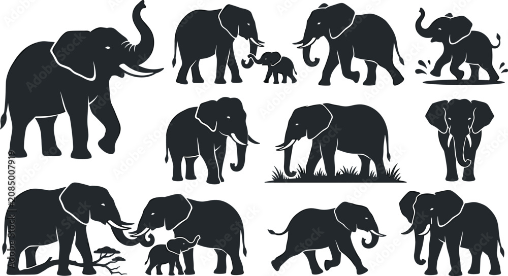 Obraz premium African elephant silhouette collection featuring adult and baby elephants in wildlife poses isolated black animal vector illustration