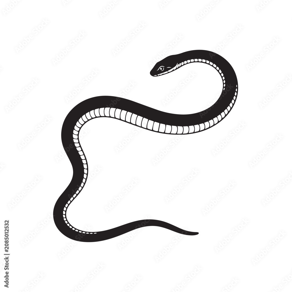 Fototapeta premium snake on white background vector illustration