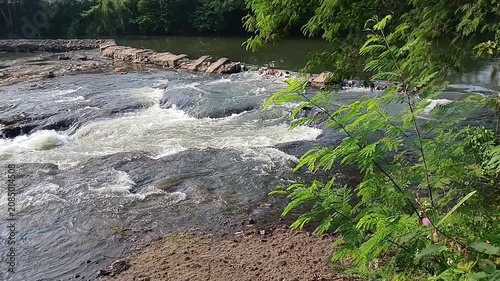 Wide angle footage of powerful river rapids rushing through a rocky riverbed beneath overhanging green leaves