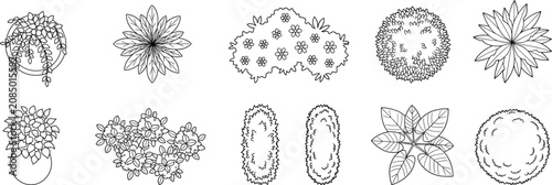 Collection of top view plants and bushes line art illustrations for architectural floor plans and landscape design