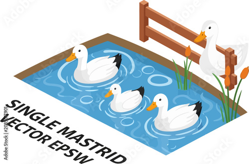 Four white ducks swimming in a blue pond near a wooden fence vector illustration