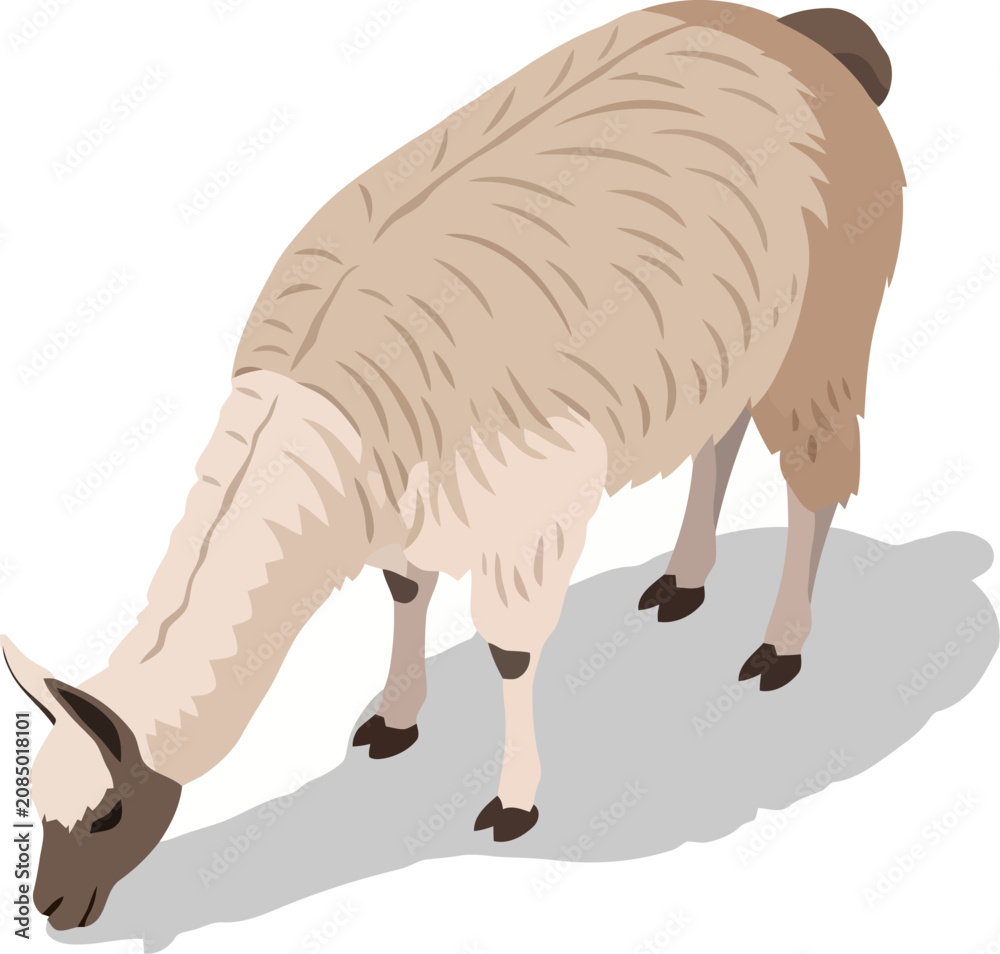 Naklejka premium Isometric light brown llama grazing on the ground casting a soft grey shadow