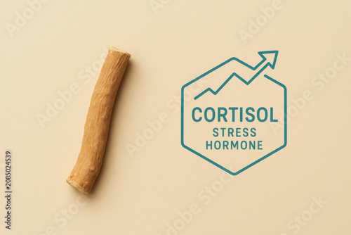 Root cortisol stress hormone icon teal cream beige root piece beside teal cortisol stress hormone icon on warm cream beige background flat lay wellness concept with minimal clean composition