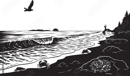 Seagulls on the Beach and Water Bird Silhouettes Vector Illustration with Coastal Nature Design in Black Ink Sketch Grunge Style Pattern Art Drawing