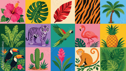 Photography Vibrant tropical illustrations of animals and plants in colorful squares