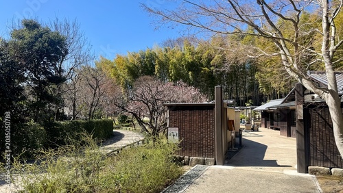 Wooden veranda and courtyard at a traditional Japanese residence