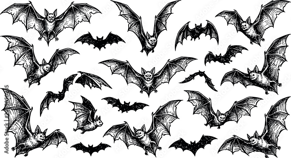 Fototapeta premium Halloween day bats collection vintage style engravings for spooky season designs