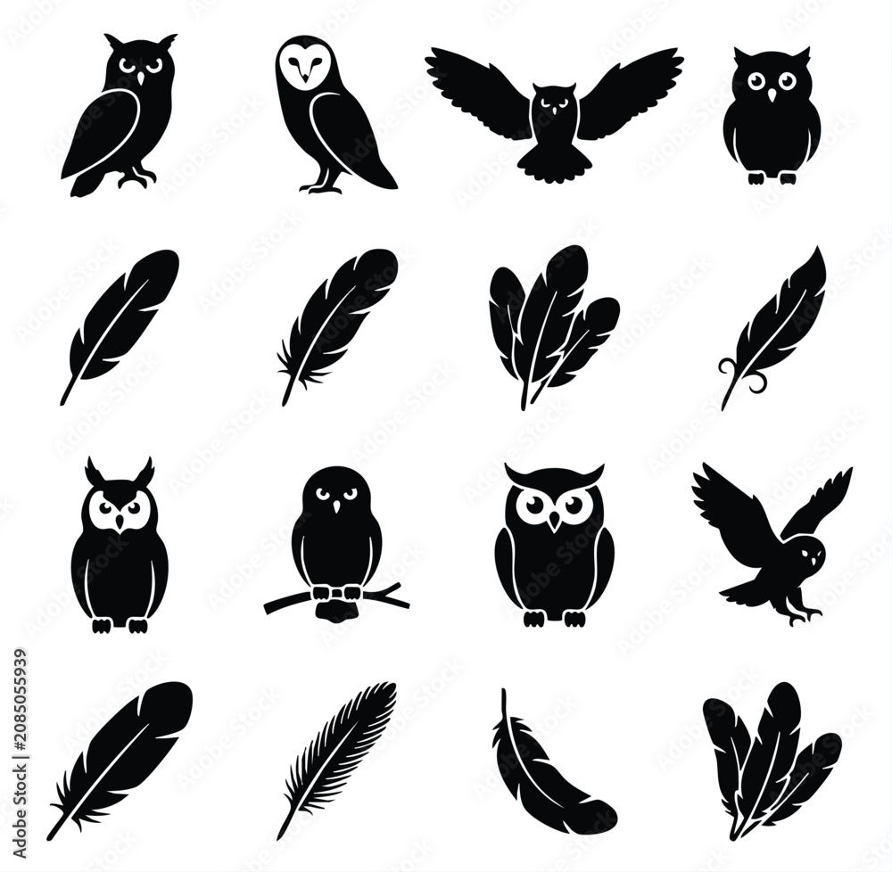 Fototapeta premium Collection of owl and feather silhouettes with silhouette wildlife nocturnal predator collection isolated illustration mysterious creature ornament decorative abstract predatory