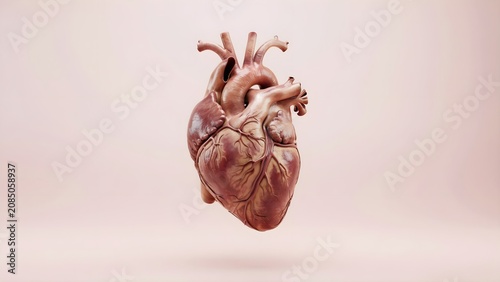 Pink Porcelain Anatomical Heart 3d illustration 3d render
