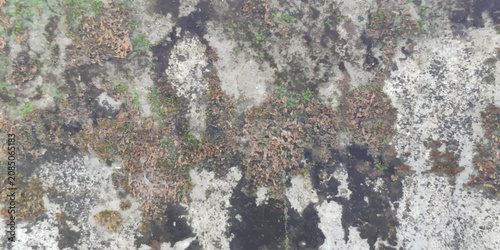Foto Weathered wall surface with patches of moss and organic decay weathered backgrou